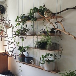 Geckoteq self-locking 1.5mm cable suspension grippers – 20kg