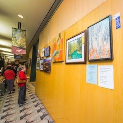 STAS Evoluon 200 cm aluminium Wall Rail