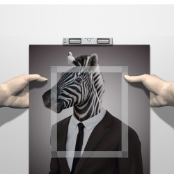 Artiteq Back Frame suspension and safety discs - per piece